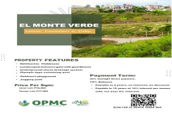 El Monte Verde Estate By STA. LUCIA LAND - Consolacion, Cebu